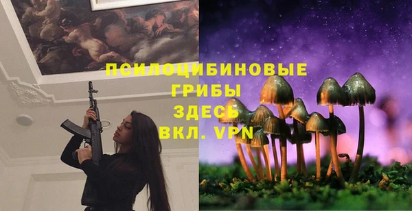 МДПВ Алзамай