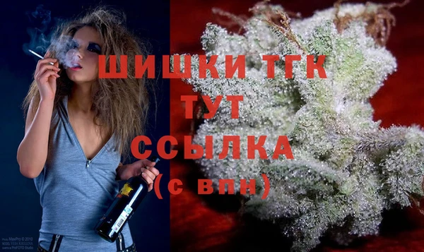 стаф Елизово