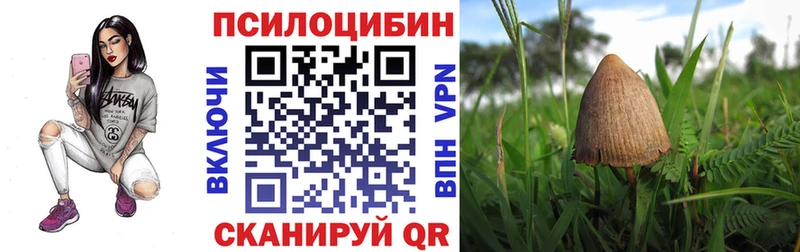 Галлюциногенные грибы Psilocybine cubensis сколько стоит Татарск